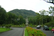 Kebun Raya Bedugul