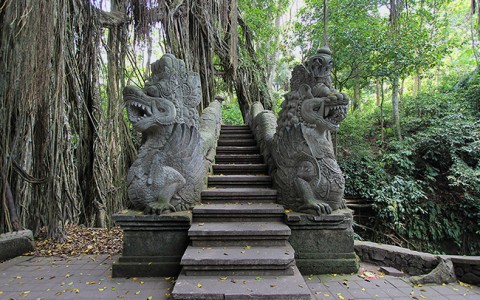 Monkey Forest