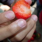 Strawberry Ga Perawan Strawberry Ga Perawan