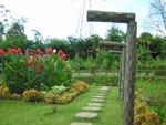 Bunga di Taman, halah...