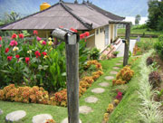 The Villa