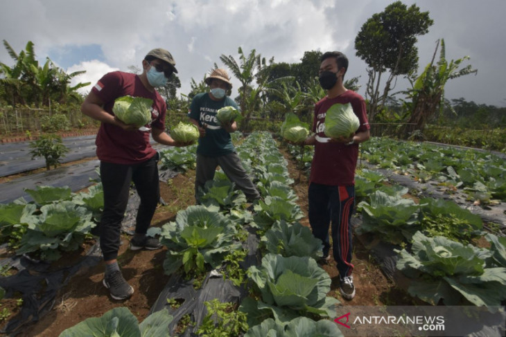 Pemuda Gobleg-Bali adakan Pelatihan Pertanian Berbasis Teknologi