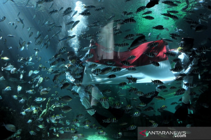Penyelam kibarkan Merah Putih di akuarium Koral Restaurant Nusa Dua
