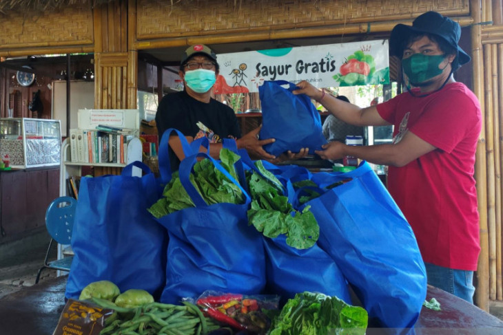 Petani Songan-Bangli berbagi sayuran gratis kepada warga  Kota Denpasar